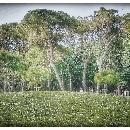 Pensjonat Vaniglia *